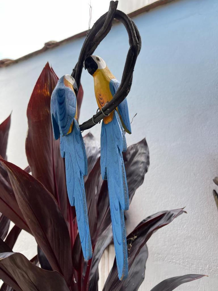 Chales Camburi Sao Sebastiao  Eksteriør bilde